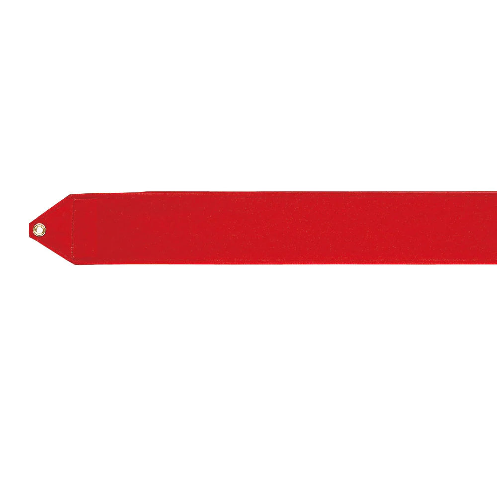 Gymnastics ribbon SASAKI collection M-71 6M
